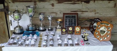 Budleigh Farm trophies